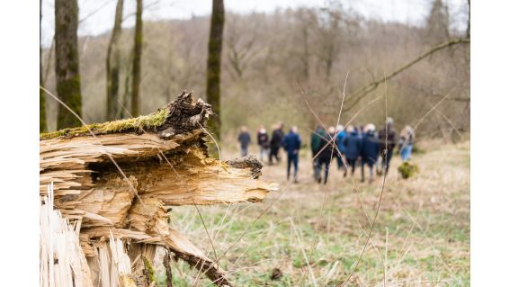 Einweihung der Renaturierungsmaßnahmen des zweiten Abschnittes © Kreis Paderborn, Thorsten Hennig